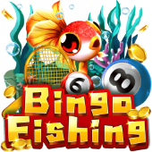 OPEN8 Inc Câu Cá Bingo