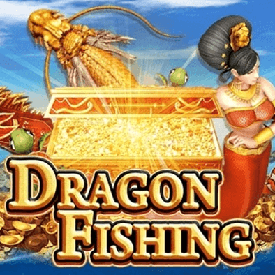 Câu Cá Rồng OPEN8 Inc